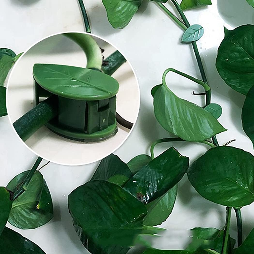 (Pack of 10) Leaf Shaped Self Adhesive Wall Climbing Clip