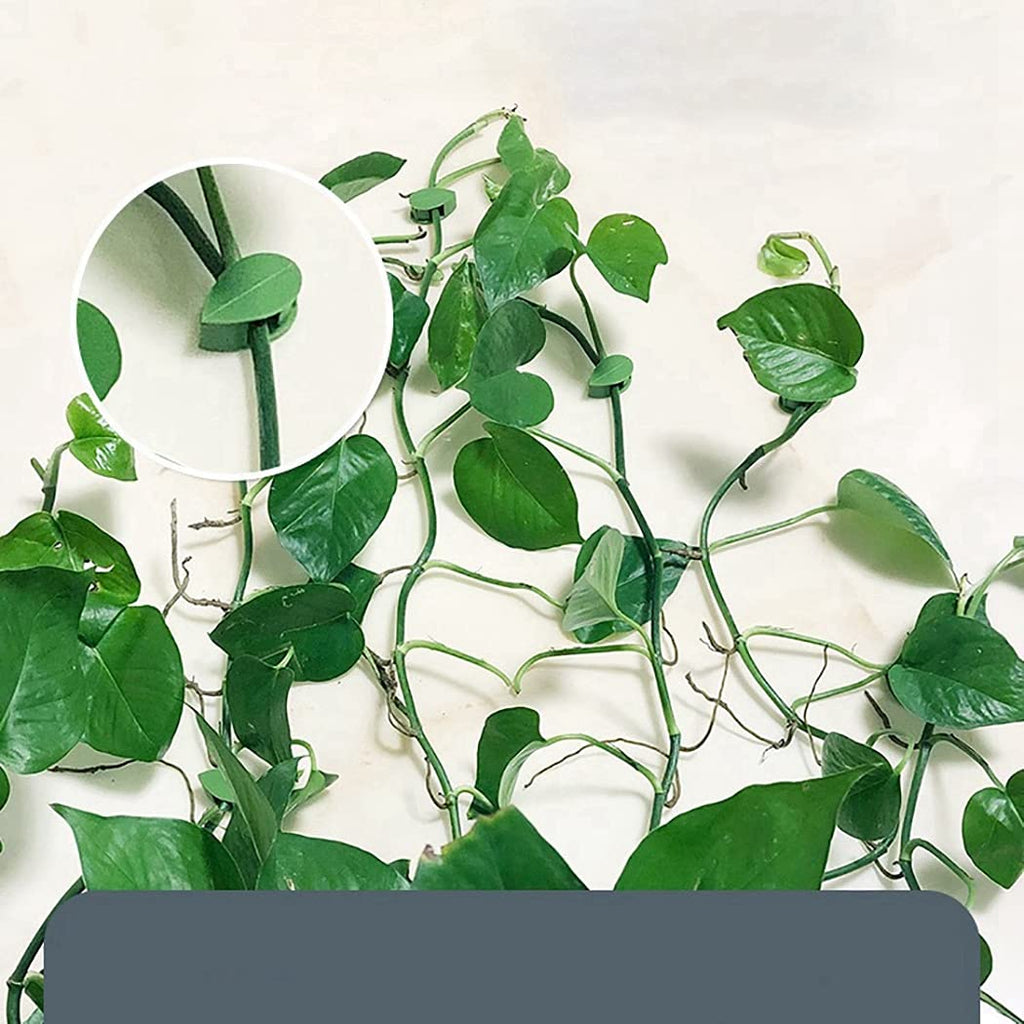 (Pack of 10) Leaf Shaped Self Adhesive Wall Climbing Clip