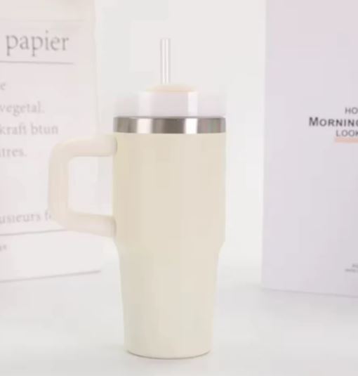 20oz Stainless Steel Tumbler with Handle and Straw