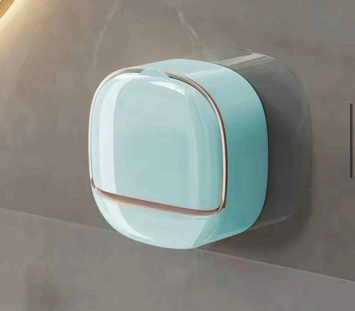 1Pc Wall Mounted Soap Holder With Lid And Drain Tray