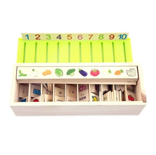Wooden Knowledge Classification Box